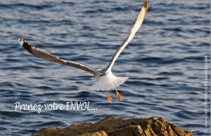 Coaching bien-être, Coaching individuel