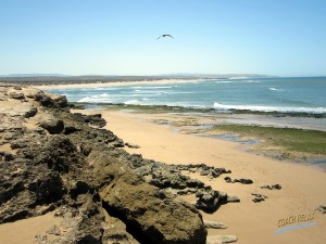Côte atlantique marocaine, Essaouira