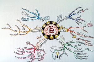 tiré du live "Etudiants: boostez vos résultats avec les mind map, Tony Buzan