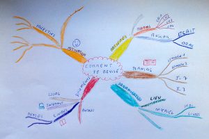 mind-map-revision-carte-men