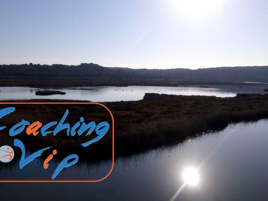 coaching personnel individuel narbonne