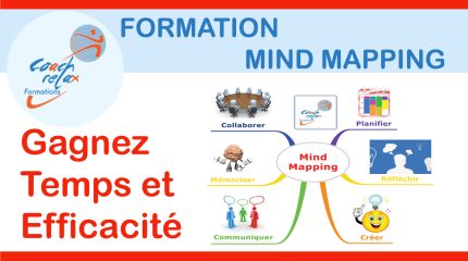 formation carte mentale / mind mapping en ligne